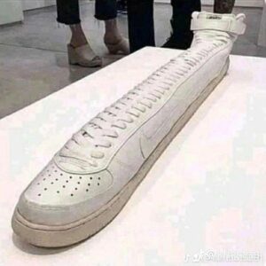 Las zapatillas de Bob patiño