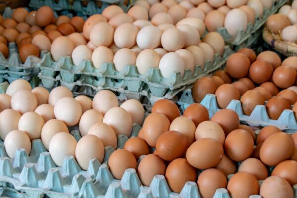 huevos