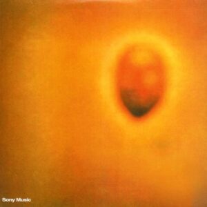 Vinilo durazno sangrando - invisible