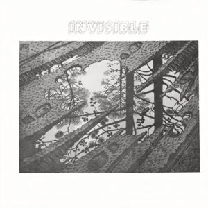 Vinilo invisible - invisible